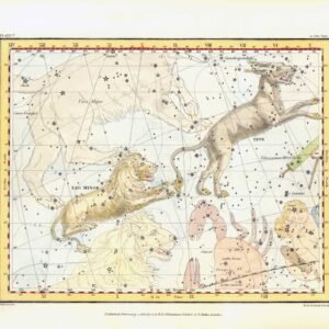 1822 Antique Engraving CELESTIAL CONSTELLATION LYNX LEO MINOR (CA-14)