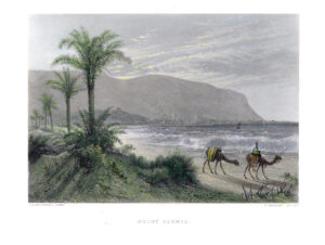 1886 Original Antique engraving of MOUNT CARMEL Israel (SME11)
