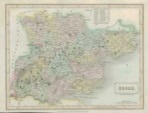 1833 Original Antique Colour Map of ESSEX by Chapman & Hall