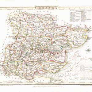 1816 Original Antique Map ESSEX original colour (ET-13)