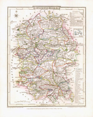 1816 Original Antique Map WILTSHIRE original colour (ET-41)