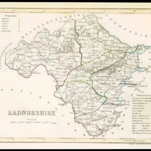 1855 - Original antique map of "RADNORSHIRE" WALES by JOSHUA ARCHER (38)