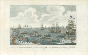1778 VIEW OF WHALE FISHERY MANNER OF KILLING BEARS GREENLAND Ships Polar  (MG71)
