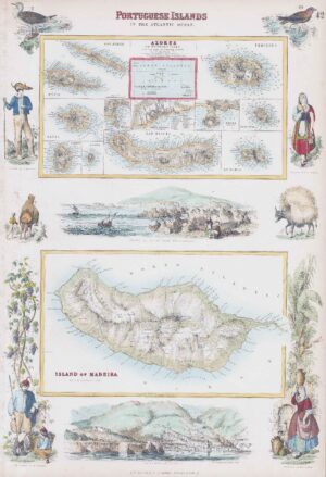 1864 MAP PORTUGUESE ISLANDS ATLANTIC OCEAN Madeira Angra Pico Fayal (FC7)